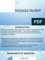 Mucormycosis in Ent