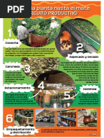 Circuito Productivo Del Trigo | PDF | Hogar, jardinería y bricolaje ...
