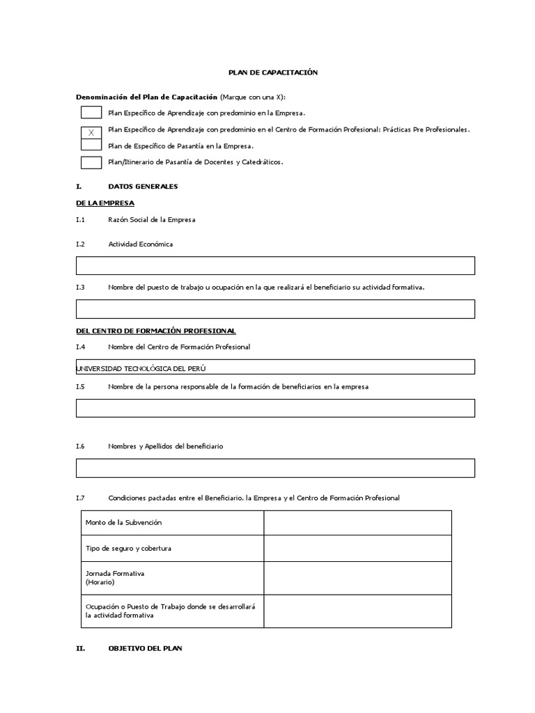 Plan de Capacitación para Prácticas Profesionales | PDF | Desarrollo ...
