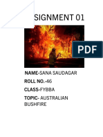 Assignment 01: Name-Sana Saudagar ROLL NO.-46 Class-Fybba Topic-Australian