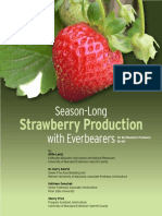 Ever-bearing Strawberry Guide