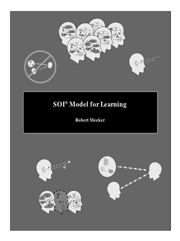 SOI Model For Learning | PDF | Learning | Information