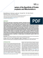 Molecular Mechanism of The Specificity of Protein Import Into Chloroplasts and Mitochondria in Plant Cells