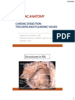 Petrescu-Live-Dissection-Normal-Tricuspid-and-Pulmonary-Valves