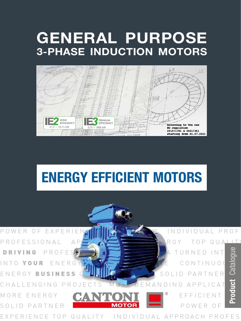 Catalogue Motor PDF Electric Motor Mechanical Engineering