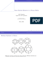 Simulation of Methane Hydrate Behavior in A Porous Media: K.B. Tsiberkin, Supervisor: D.V. Lyubimov