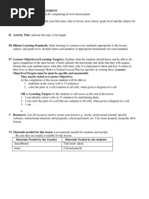 Mini-Lesson-Plan-Assignment-Rubric