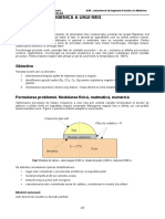 Extirparea Criogenica A Unui Neg