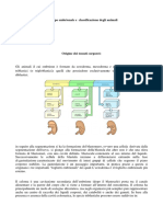 Dispense strutture, simmetrie ed embrioni. per studenti