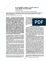 Topography Probe Affinity Chromatography: Surface of Histidine Residues: A Facile by Immobilized Ion