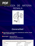 Download Stenoza de Artera Renala by Laurentiu Costin Horhocica SN55359731 doc pdf