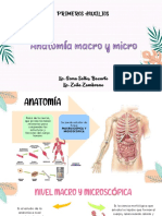 Anatomía Macro y Micro-sistema Vascular-osteomioarticular - Topografia Abdominal - Planos Anatomicos y Movimiento Corporales