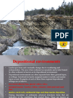 Introduction To Sedimentary Environments: Dr. N. P. Nayak