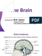 The Brain: M.K. Sastry