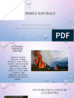 Proiect Geografie (Incendii Naturale)