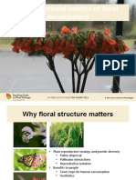 Transcriptional Control of Floral Development: © 2017 American Society of Plant Biologists