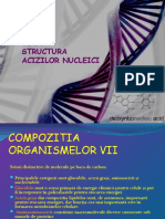Curs 3 - DNAStructure