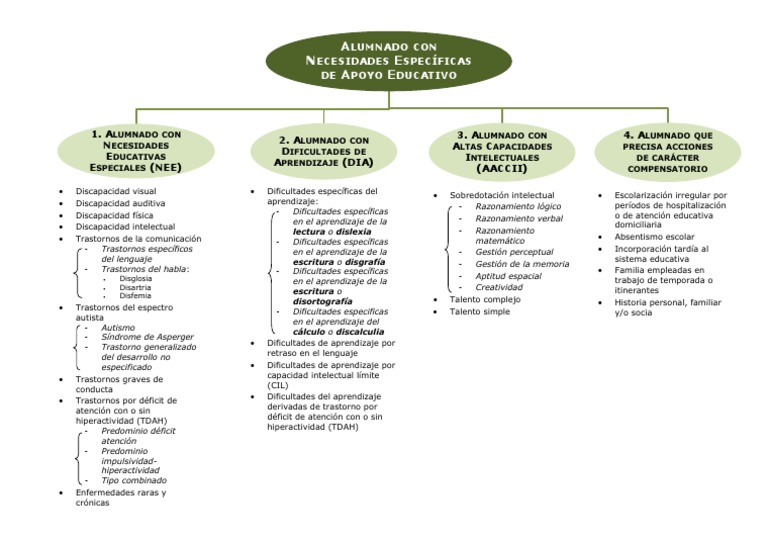 Esquema NEAE | PDF | Espectro autista | Desorden hiperactivo y deficit ...