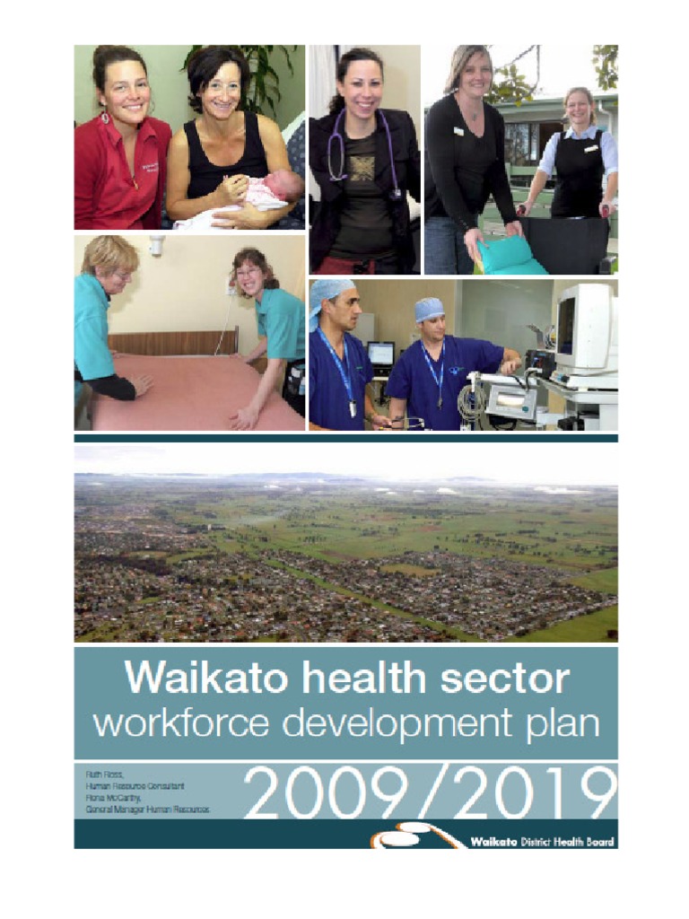 19616 | PDF | Workforce Development | Health Human Resources