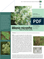 Invasive Pest Fact Sheet on Mikania micrantha Mile-a-minute Weed