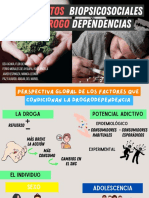 T2-Fundamentos Biopsicosociales de La Drogodependencia