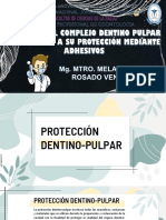 Grupo 5 BIOLOGÍA DEL COMPLEJO DENTINO PULPAR EN RELACIÓN A SU PROTECCIÓN MEDIANTE ADHESIVOS