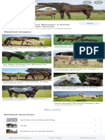 Donkey Vs Horse - Google Search