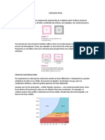 Sustancias Puras: Composición, Fases y Cambios de Estado