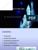 Carbonates in The Sea