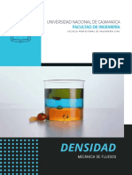 Informe Densidad