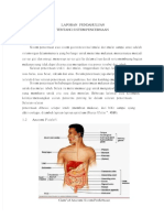 PDF Laporan Pendahuluan Tentang Sistem Pencernaan Edit
