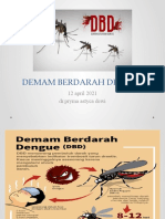 Demam Berdarah Dengue 12 April 2021