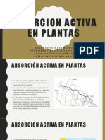 Absorcion Activa en Plantas