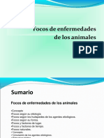 Clase 6. Focos de Enfermedades de Los Animales Actualizada