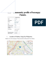 Community Profile of Barangay Palatiw