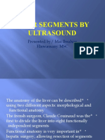 Liver Segments by Ultrasound