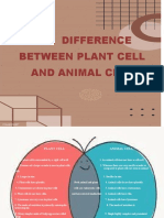 The Difference Between Plant Cell and Animal Cell