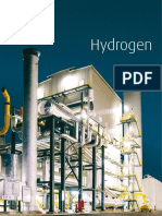 Hydrogen Gas Generation Plant