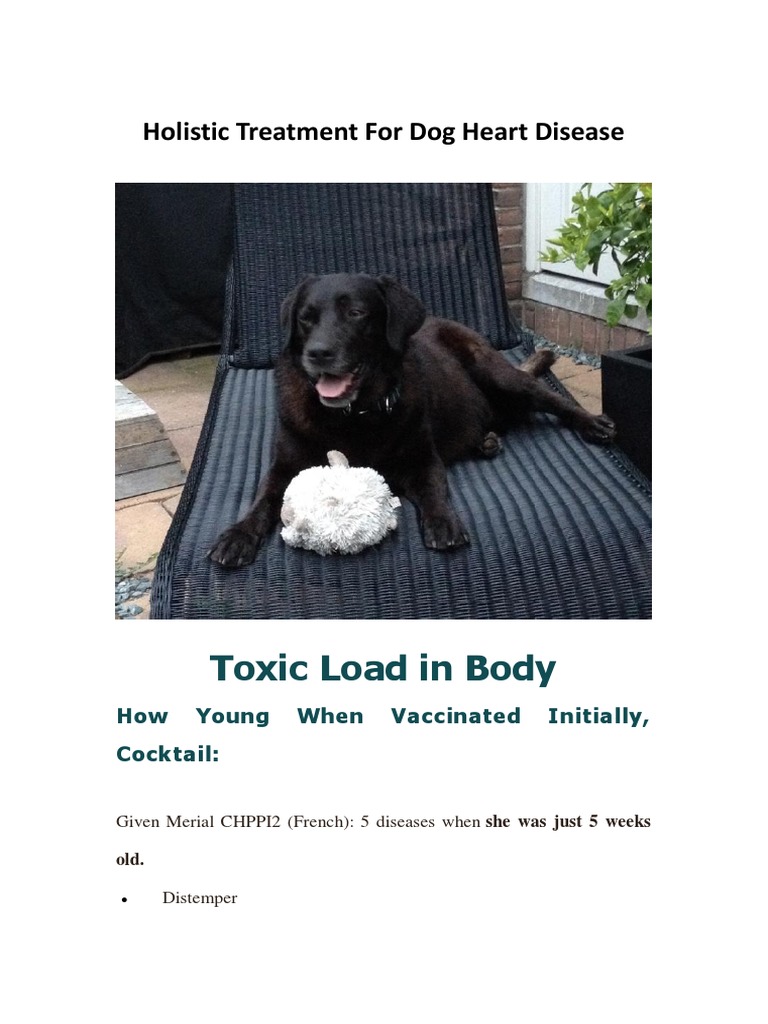 Holistic Treatment For Dog Heart Disease PDF