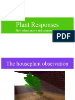 Plant Responses - Tropisms