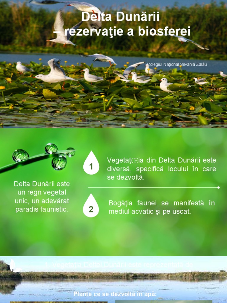 Delta Dunarii - Ecosistem | PDF