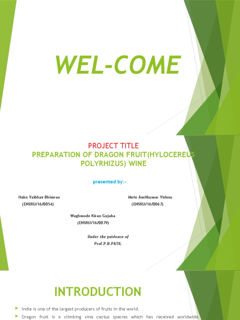 Dragon Fruit Wine PDF Wine Food Ingredients