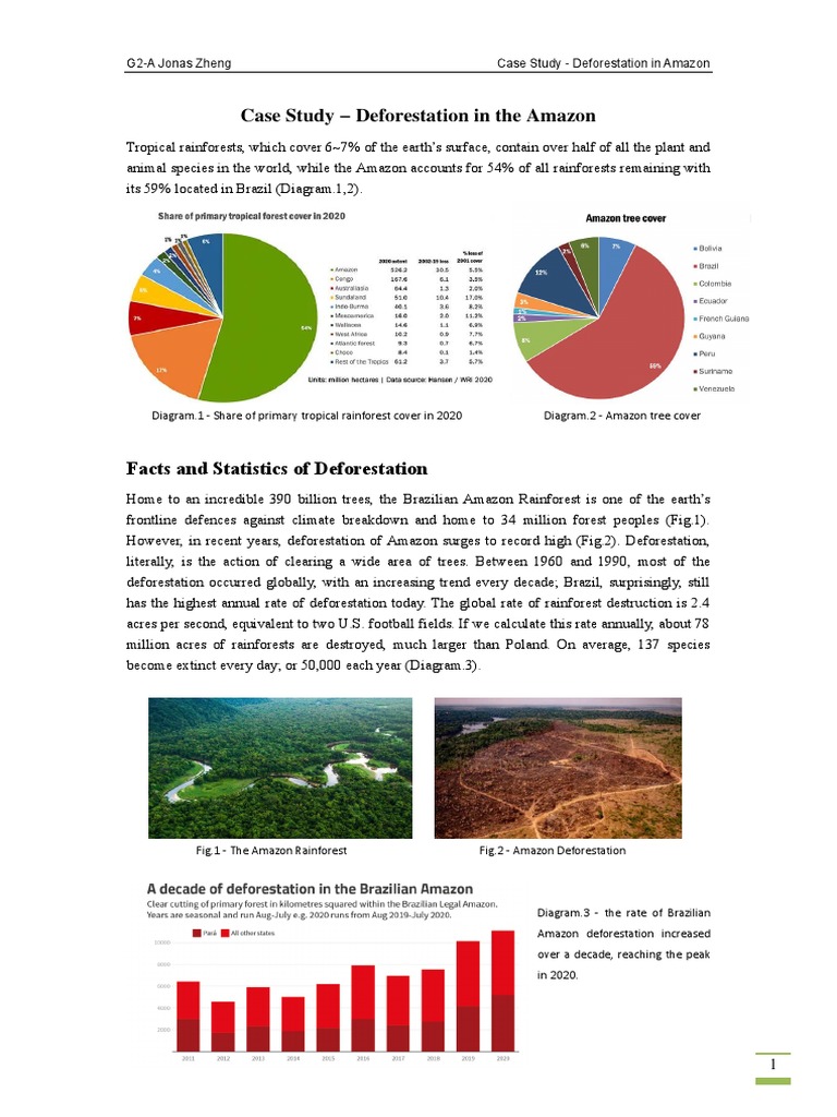 a case study on deforestation