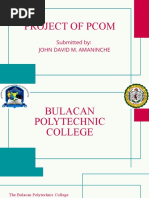 Amaninche, John David M. Pcom Presentation