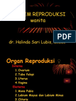 An-Fis Reproduksi1