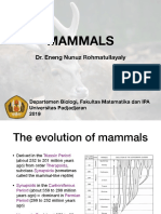 Mammals_Kuliah Taks. Vertebrata 