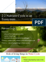 2.2 Nutrient Cycle in An Ecosystem