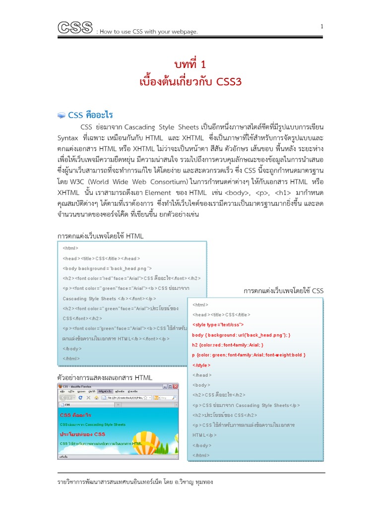 Basic Css | PDF