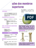 Articulações Dos Membros Superiores