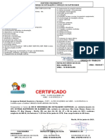 1 - CERTIFICADO NR10 - CARLOS ELIAS ARIVAL DA SILVA - Copia - Copia (6)